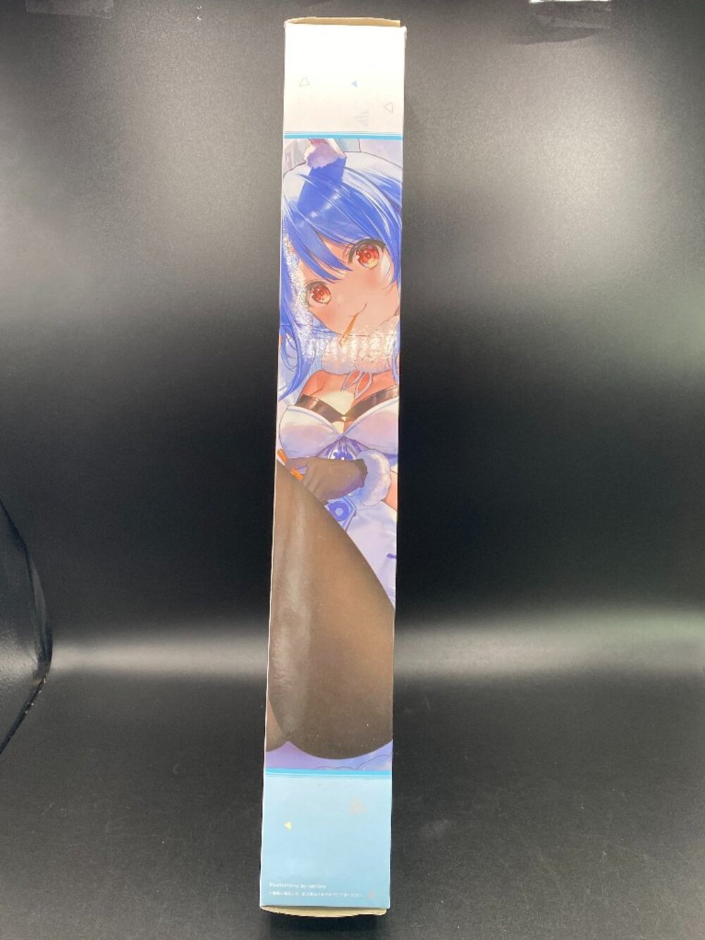 Bandai Spirits Usada Pekora Canvas-Style Tapestry A2 New